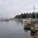 Satama, Varjakka